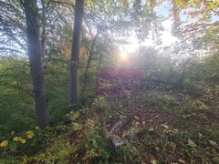 Teren intravilan de vanzare in Telega