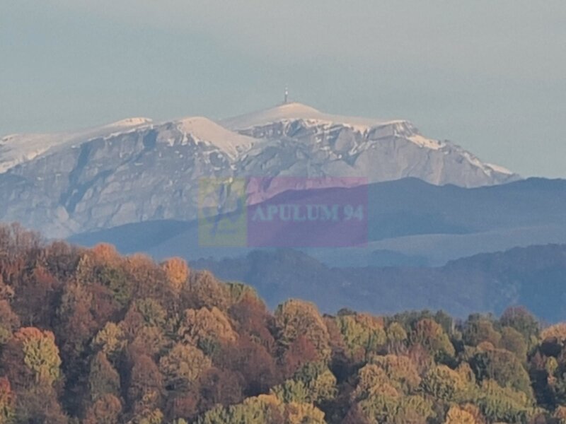 Teren intravilan de vanzare in Telega