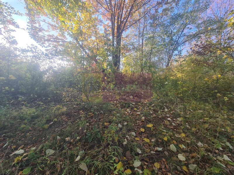 Teren intravilan de vanzare in Telega