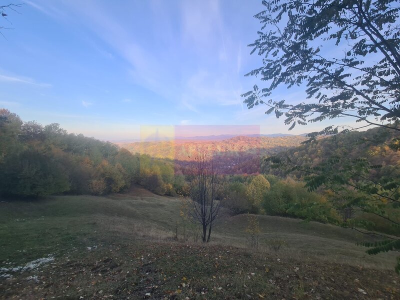 Teren intravilan de vanzare in Telega