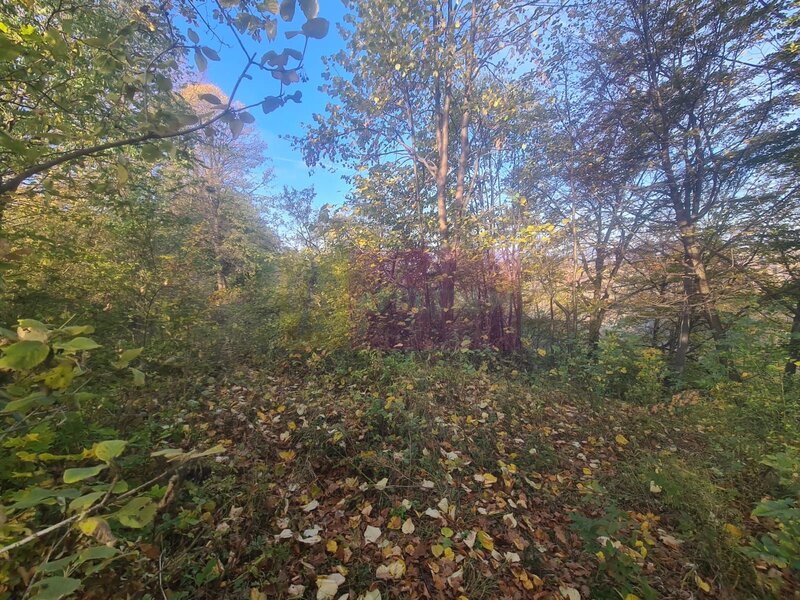 Teren intravilan de vanzare in Telega