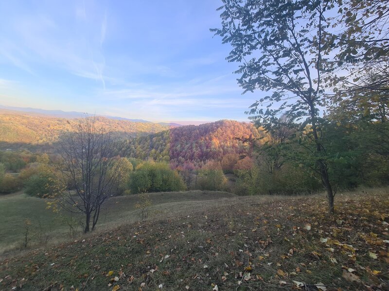 Teren intravilan de vanzare in Telega
