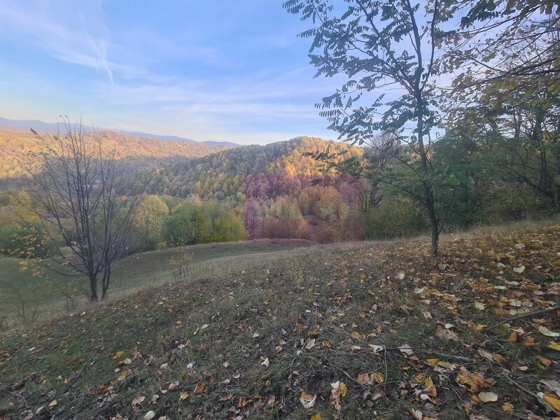 Teren intravilan de vanzare in Telega