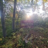 Teren intravilan de vanzare in Telega